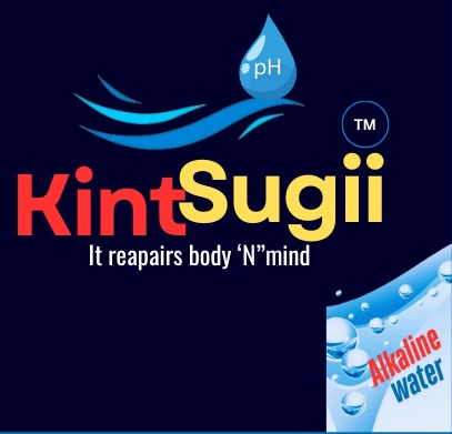 https://kintsugii.in/wp-content/uploads/2025/08/ks-logo.png